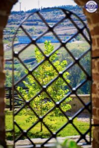 MadeinMycountry MadeinMycountryGR MadeinGreece Greece & Cyprus Culture