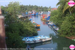 MadeinMycountry MadeinMycountryIndia India