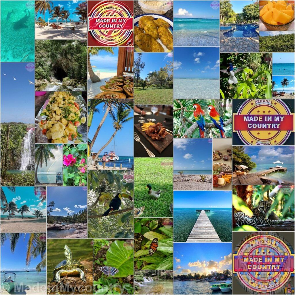 MadeinMycountry Miami (LAT):  MadeinMycountry es una plataforma global que celebra y apoya la historia local, la cultura, el arte y los esfuerzos de conservación de la naturaleza. Durante dos décadas, hemos patrocinado museos locales, organizaciones culturales, destinos turísticos, sitios históricos y diversos eventos culturales en todo el mundo.
