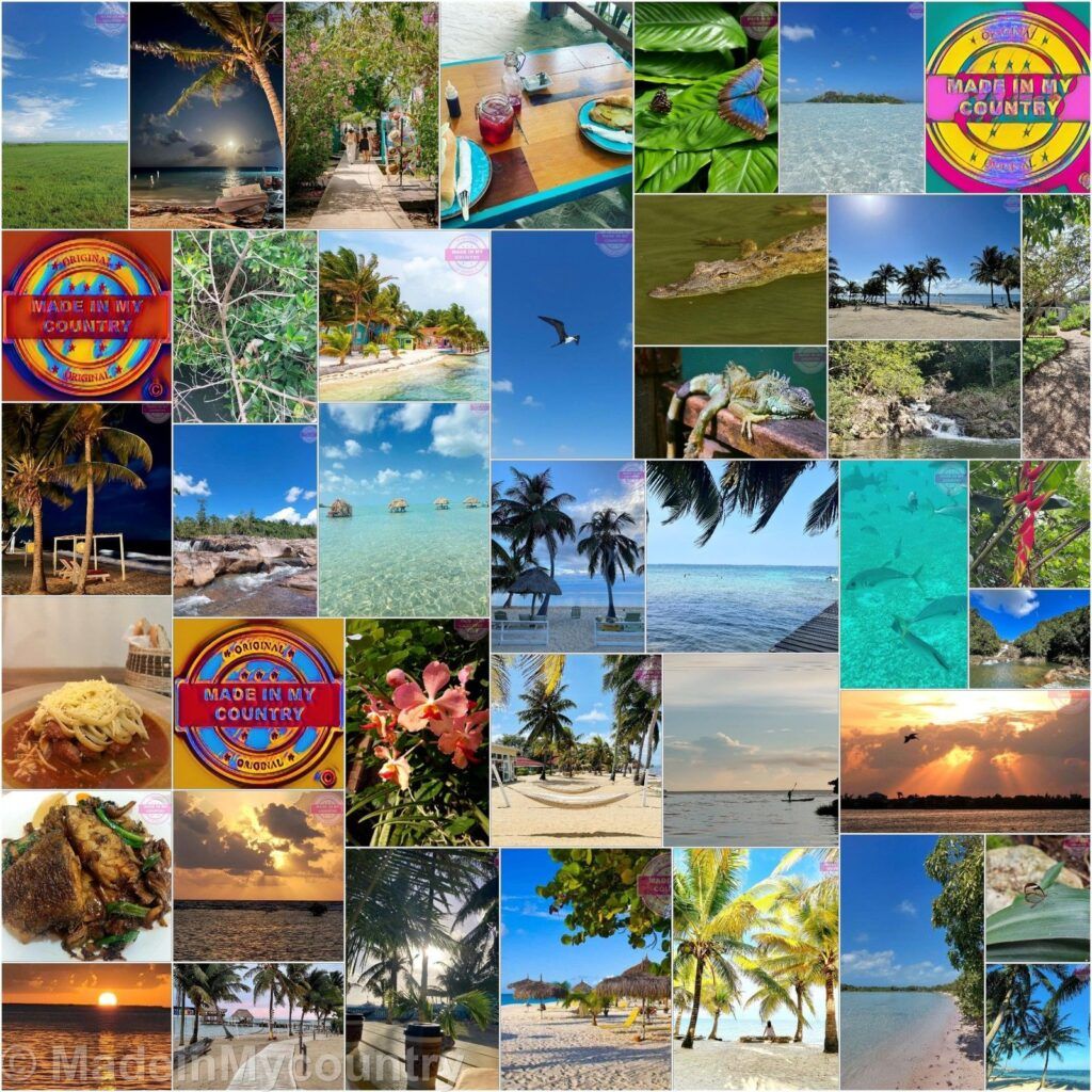 MadeinMycountry Miami (LAT):  MadeinMycountry es una plataforma global que celebra y apoya la historia local, la cultura, el arte y los esfuerzos de conservación de la naturaleza. Durante dos décadas, hemos patrocinado museos locales, organizaciones culturales, destinos turísticos, sitios históricos y diversos eventos culturales en todo el mundo.
